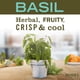 thumbnail image 2 of Loción de manos MRS. MEYER'S CLEAN DAY Basil 355 ml para manos secas, 2 of 4