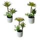 thumbnail image 1 of Mini Suculentas Decorativas Artificiales Con Macetero 3 Uni., 1 of 5