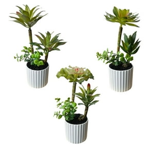 Mobii - Mini Suculentas Decorativas Artificiales Con Macetero 3 Uni. Verde