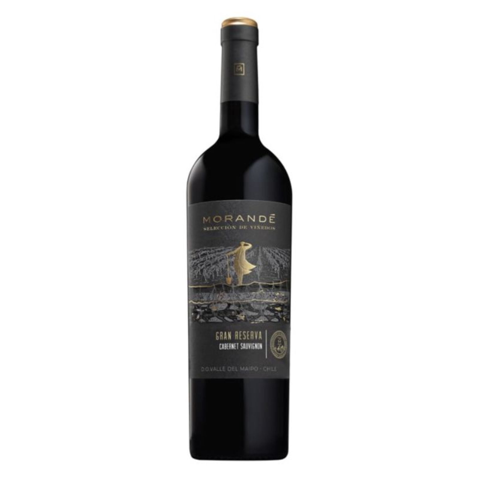 Vino Tinto Cabernet Sauvignon Terrarum Botella 750 cc Morandé