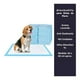 thumbnail image 5 of 100 Sabanillas Para Perro 60x60 Cm Pañales Para Perro, 5 of 6