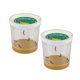 thumbnail image 1 of Insect Lore 2 vasos de orugas con alimento, 10 piezas, 1 of 6
