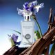 thumbnail image 2 of Perfume Hybrid & Company Hello Holiday 100 ml Eau de Parfum, 2 of 6
