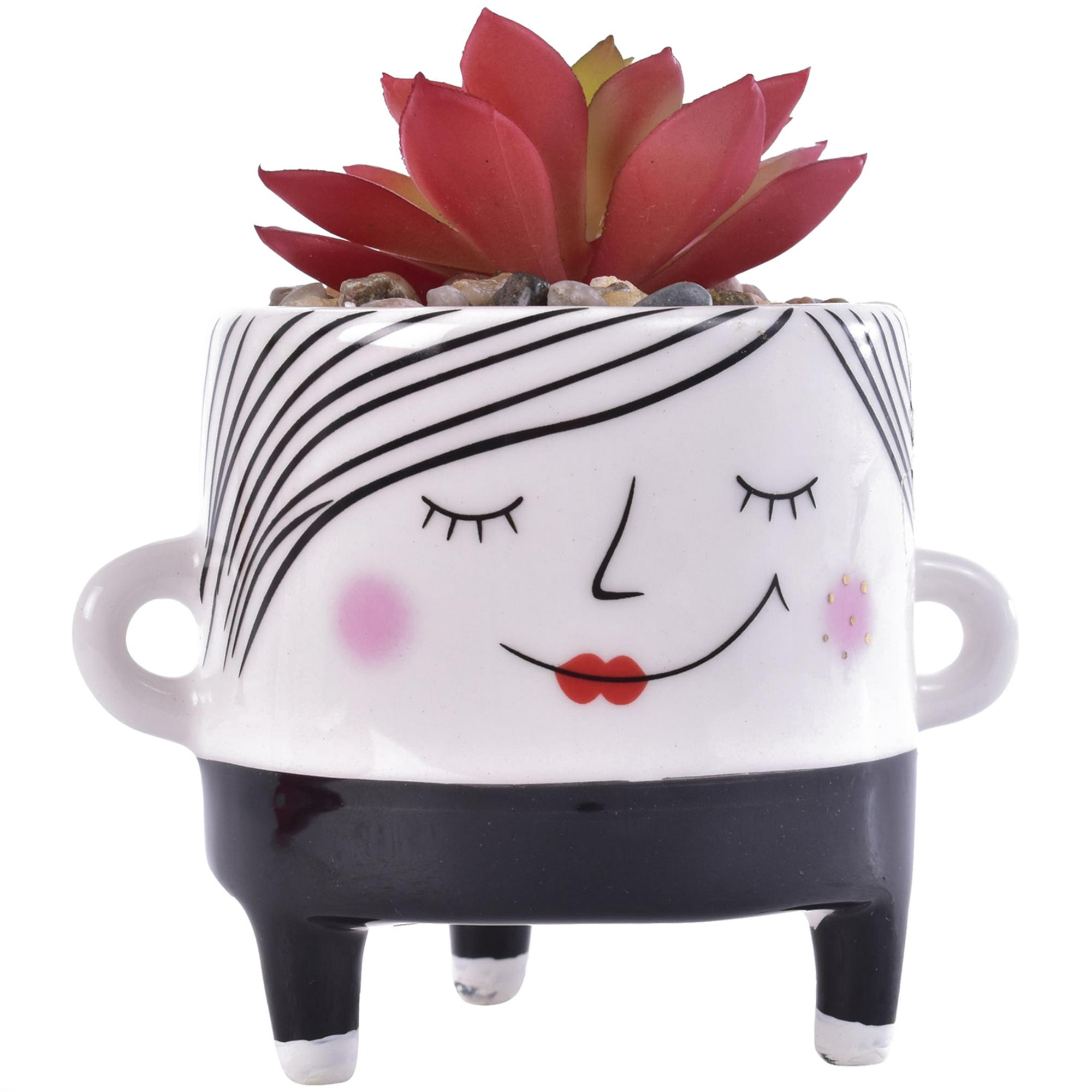 Mallorca - Suculenta Decorativa Ambrosia Roja Con Maceta