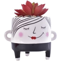 Mallorca - Suculenta Decorativa Ambrosia Roja Con Maceta