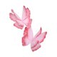 thumbnail image 2 of 2 Mariposas Artificiales Decorativas, Creativas, Para Bodas, Festivales, Color Rosa., 2 of 5