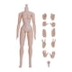 thumbnail image 2 of Juguetes De Cuerpo Musculoso De 12 Pulgadas, Coleccionables En Miniatura, Hombro Estrecho Desmontable, Hembra, Blanco, 2 of 5