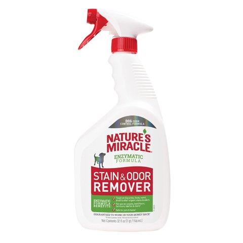 Quitamanchas Y Olores Nature'S Miracle Everyday Mess 960 Ml