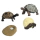 thumbnail image 2 of Juguete de Tortuga de Ciclo de Vida, Modelo de Biología Educativa para Niños de 3 a 6 años, Accesorios de Enseñanza Realistas, Figuras de Animales, Ki, 2 of 5