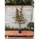 thumbnail image 3 of Árbol Mandarino 120cm Artificial, 3 of 3