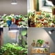 thumbnail image 2 of Bombilla LED para Cultivo SANSI 24W 4000K 120° BR30 IP54 Equivalente a 200W, 2 of 7