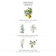thumbnail image 2 of Perfume Panier des Sens Verbena Limón Eau de Toilette 10 mL, 2 of 6