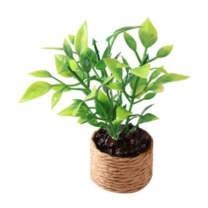 Bothyi - 1/12 Casa De Muñecas Plantas En Macetas De Plástico Micro Decoración De Paisaje Suministros De Paisaje