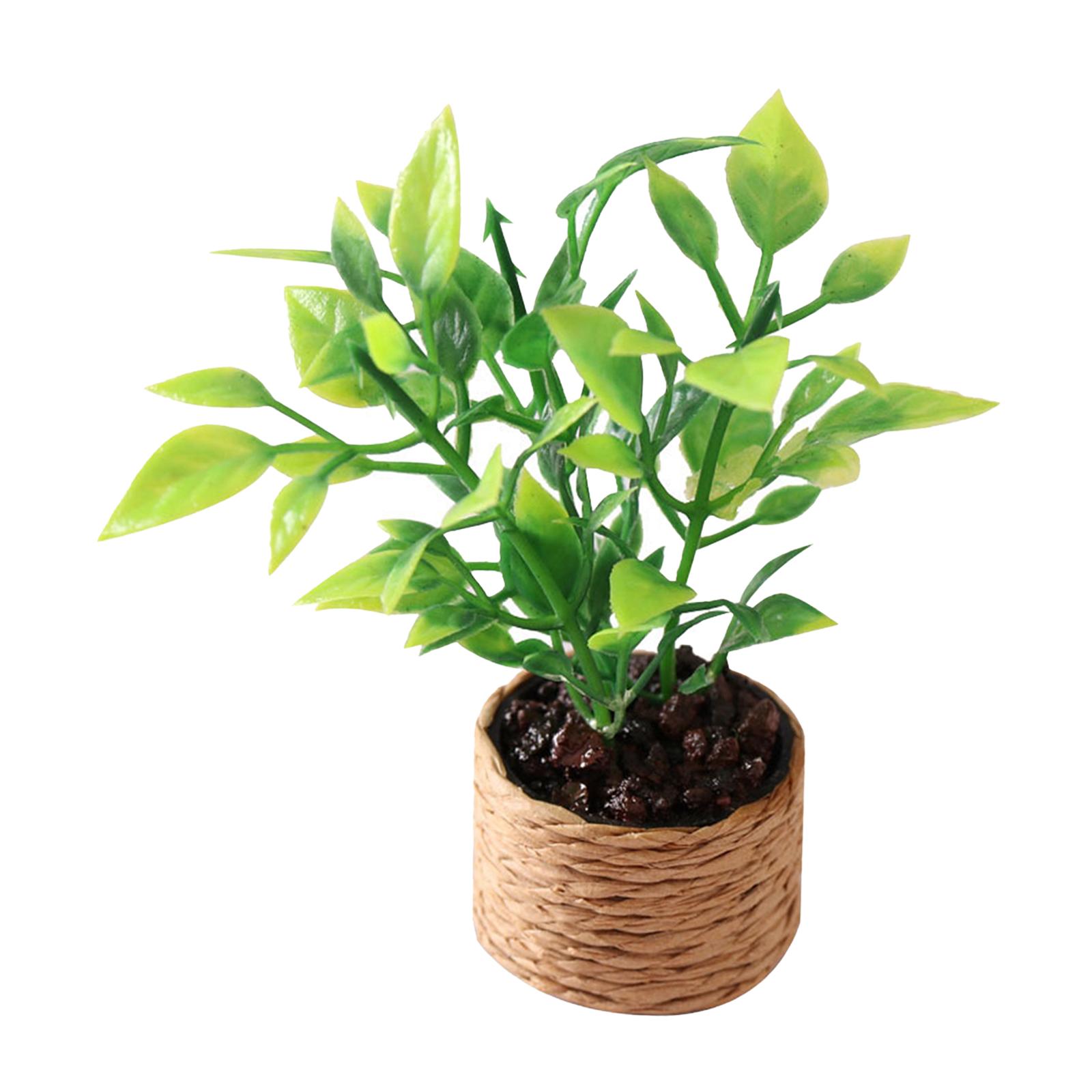 Bothyi - 1/12 Casa De Muñecas Plantas En Macetas De Plástico Micro Decoración De Paisaje Suministros De Paisaje