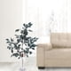 thumbnail image 4 of Rama Decorativa Eucalipto Azul 105 Cms., 4 of 4