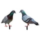 thumbnail image 4 of 2 estacas de jardín con estatuas de palomas, figuras de pájaros, insertos en el suelo, esculturas de animales realistas, para decoraciones de césped y, 4 of 5
