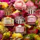 thumbnail image 3 of Perfume Vince Camuto Bella Eau de Parfum en spray para mujer, 3 of 3