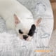 thumbnail image 2 of Cama para perros Bedsure Calming Donut, lavable para perros medianos, 2 of 6