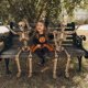 thumbnail image 5 of Esqueleto CONNICS 90 cm – Pack de 2 para decoración de Halloween, 5 of 9