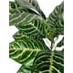 thumbnail image 2 of Planta Decorativa Ramo Zebra Uv 56cm, 2 of 3