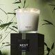 thumbnail image 5 of Candle NEST New York con aroma a bambú y pomelo de 3 mechas, 625 ml, 5 of 6