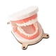 thumbnail image 4 of Niños Vida Práctica Cepillado Dientes Modelo Ocupado Tablero Accesorios Para Niños, 4 of 5