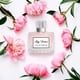 thumbnail image 3 of Set de perfume VENEZIO PROFUMO Signature Scents para mujer 100ml, 3 of 9