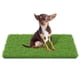 thumbnail image 1 of ALFOMBRA MAYSHINE 75 cm × 43 cm Césped Artificial para Perros – Hojas Suaves, 1 of 7