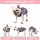 thumbnail image 2 of Traje de recuperación postoperatoria para perros Due Felice para hembras y machos, 2 of 6