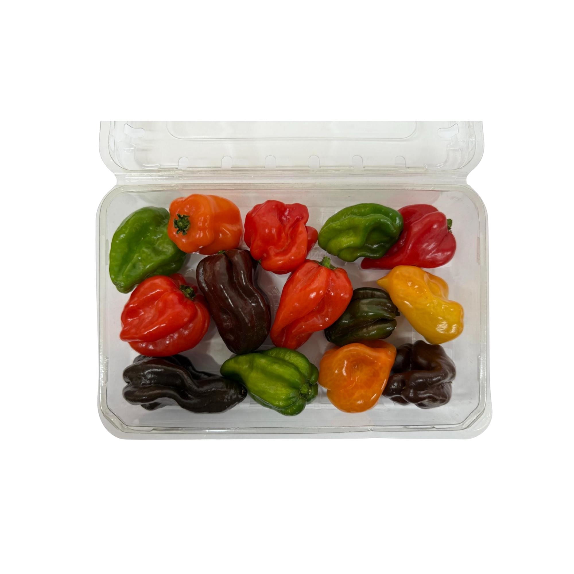 Ají Habanero Mix Colores Pote 100 g