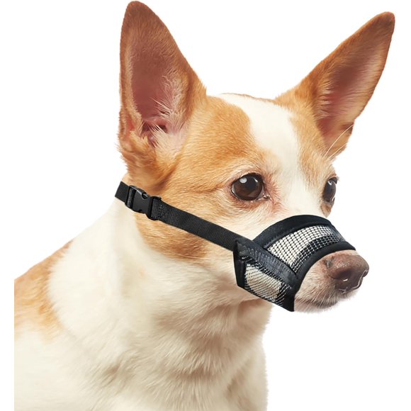 Mordaza Evollax XS de Malla de Aire Suave y Transpirable para Perros Pequeños