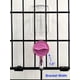 thumbnail image 4 of Botella comedero Para Cobayas Color Rosa 300 Ml, 4 of 9
