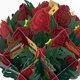 thumbnail image 2 of Ramo de Papel Pop‑Up Lovepop Harry Potter Gryffindor 25 cm, 2 of 7