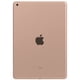 thumbnail image 3 of Apple iPad 2019 RENOVADO (10,2 pulgadas, Wi-Fi + Cellular, 32 GB), 3 of 4