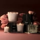thumbnail image 5 of Recarga líquida Reed Difusor NEST New York Rose Noir & Oud, 5 of 6