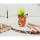 thumbnail image 5 of Minimoleta plateada Buffalo Disney Bambi con suculentas de 5 cm, 5 of 8
