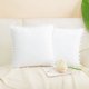 thumbnail image 1 of Funda de Almohada de Terciopelo REGALWOVEN con Pompones para Sofá Cama 2PCS Blanco Nieve 20x20 Pulgadas, 1 of 7