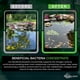 thumbnail image 4 of Bacterias beneficiosas para el tratamiento del agua Aquascape 98950 3,2 kg, 4 of 6