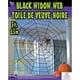 thumbnail image 3 of Red de cuerda Decoration Fun World para viudas, color negro, 150 cm de ancho, 3 of 4