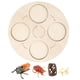 thumbnail image 5 of Montessori Life Growth Cycle Board Early #Educational For Preschool Kids Cigarra, 5 of 5