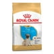 thumbnail image 1 of Alimento Pug Puppy 2,5 Kg, 1 of 2