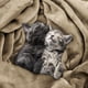 thumbnail image 4 of Cama polar Blanket Utopia, tamaño king, camel, 300 g/m², 4 of 9