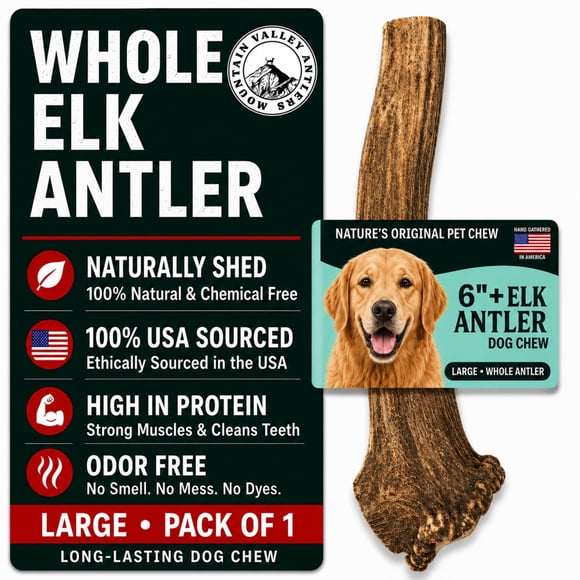 Mordedor de Cornamenta para Perro Mountain Valley Antlers – Tamaño Grande