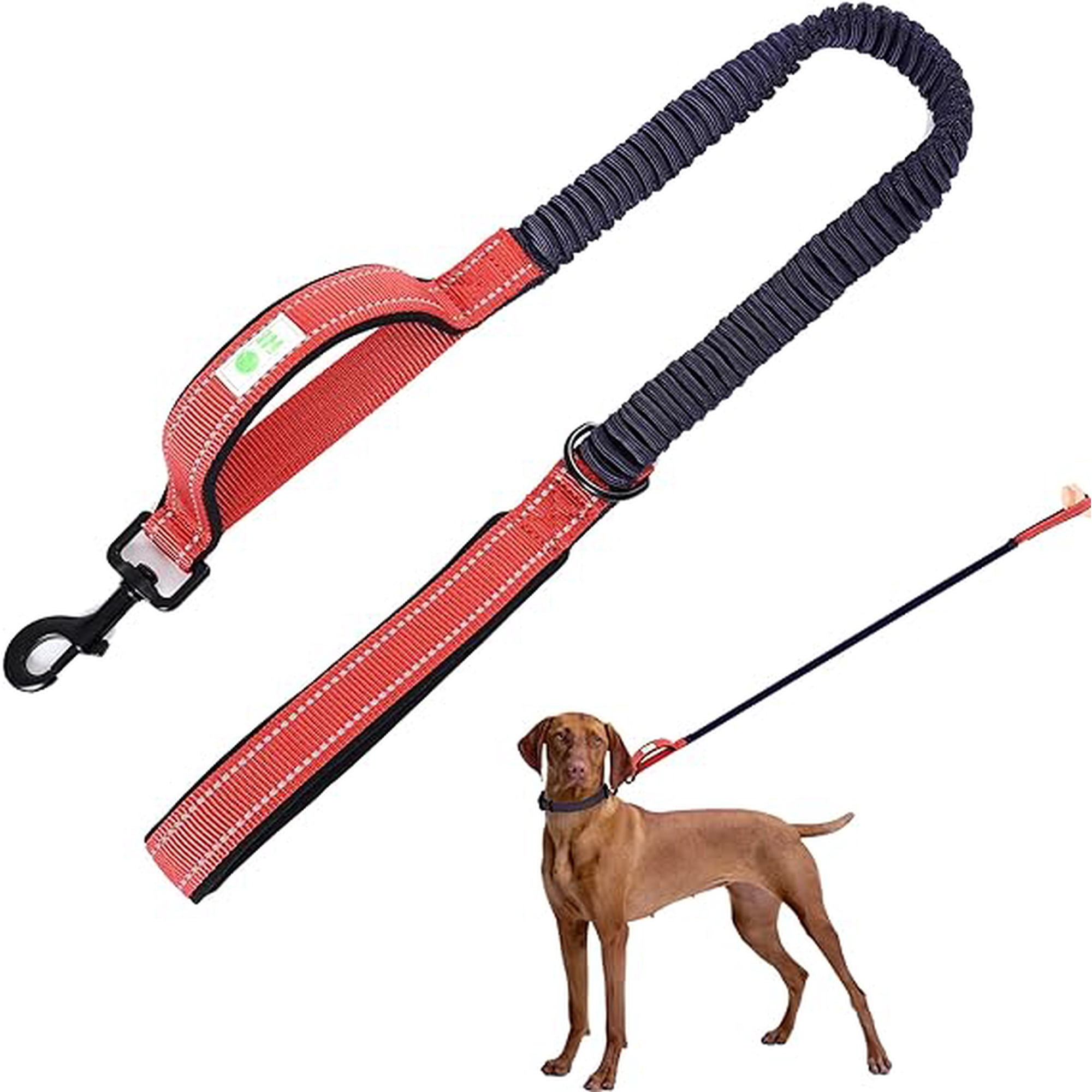 Correa Elástica Para Perros. Rojo