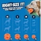 thumbnail image 2 of Juguete para perros Chuckit! Pelota Air Fetch, tamaño mediano, para perros de 9 a 27 kg, 2 of 5