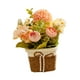 thumbnail image 3 of Arreglo Floral De Flores Artificiales En Maceta Para Sala De Estar De Escritorio Rosa, 3 of 5