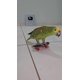 thumbnail image 4 of Set de juegos para aves y loros, 4 of 5