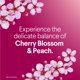 thumbnail image 3 of Toallitas Clorox Scentiva 75 ct Cherry Peach Eliminan 99,9%, 3 of 3