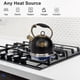 thumbnail image 2 of Tetera LUXGRACE 3,0 L con silbido – Acero inoxidable, 2 of 7