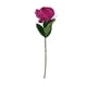 thumbnail image 1 of Peonia Fucsia 45cm Con Acabado Natural, 1 of 3
